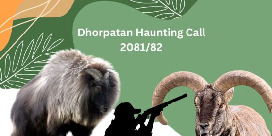 Government Announces Competitive Hunting Season in Dhorpatan Reserve