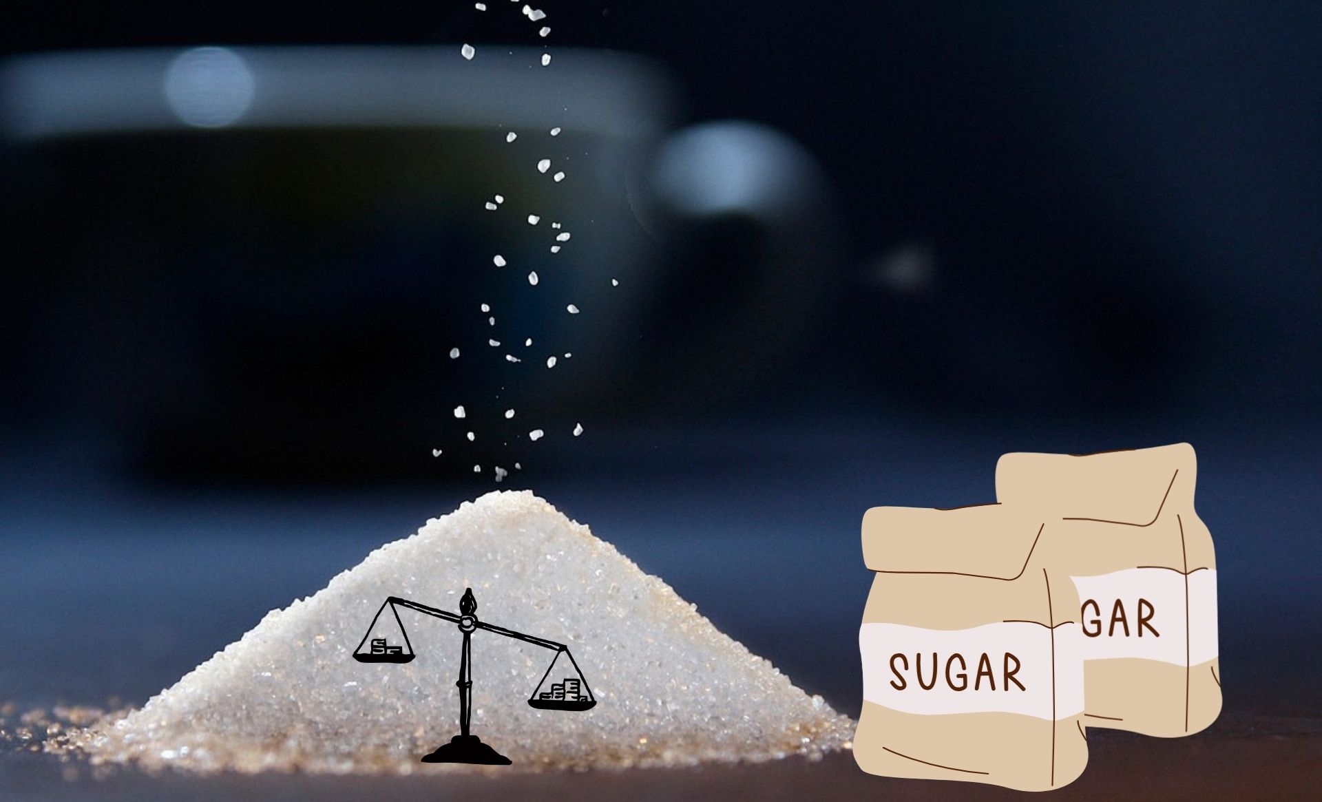 Government Grants 50% Customs Duty Exemption to Salt Trading and Food Management Company for Sugar Imports