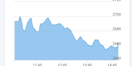 NEPSE Index Falls by 1.01% as Major Sectors and Stocks Plunge