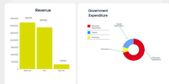 Government Revenue Reaches 323 Billion 27 Crores, Expenditure Hits 415 Billion 2 Crores in First Four Months of FY 2081/82